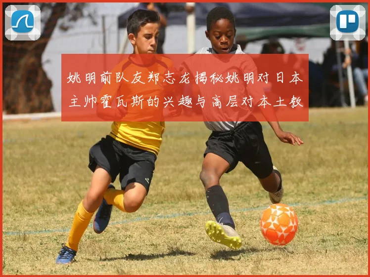 姚明前队友郑志龙揭秘姚明对日本主帅霍瓦斯的兴趣与高层对本土教练的偏好