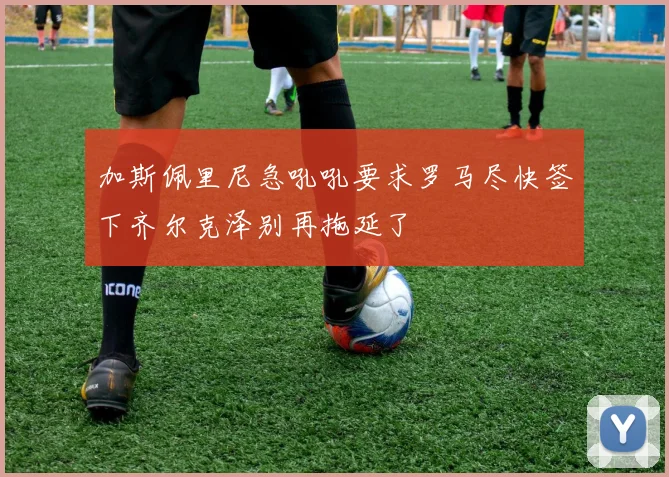 加斯佩里尼急吼吼要求罗马尽快签下齐尔克泽别再拖延了