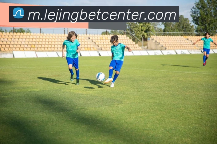 乐竟体育平台生态图